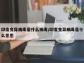 印度变异病毒是什么病毒/印度变异病毒是什么意思