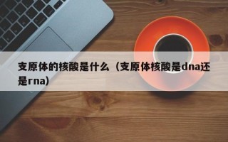支原体的核酸是什么（支原体核酸是dna还是rna）