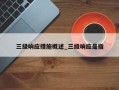 三级响应措施概述_三级响应是指