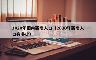 2020年国内新增人口（2020年新增人口有多少）