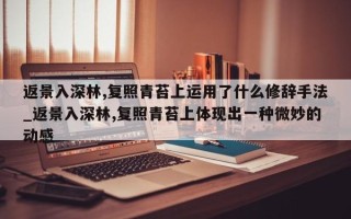 返景入深林,复照青苔上运用了什么修辞手法_返景入深林,复照青苔上体现出一种微妙的动感