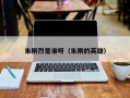 朱刚烈是谁呀（朱刚的英雄）