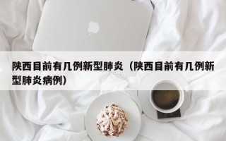 陕西目前有几例新型肺炎（陕西目前有几例新型肺炎病例）