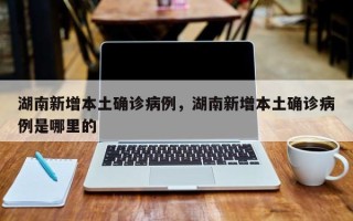 湖南新增本土确诊病例，湖南新增本土确诊病例是哪里的