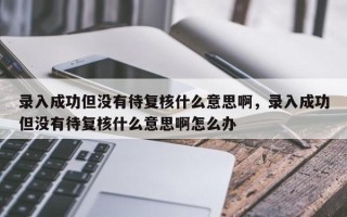 录入成功但没有待复核什么意思啊，录入成功但没有待复核什么意思啊怎么办