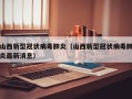 山西新型冠状病毒肺炎（山西新型冠状病毒肺炎最新消息）