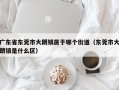 广东省东莞市大朗镇属于哪个街道（东莞市大朗镇是什么区）