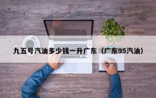 九五号汽油多少钱一升广东（广东95汽油）