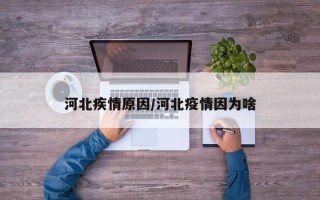 河北疾情原因/河北疫情因为啥